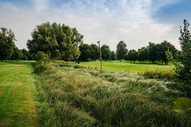 Feuchtwiesen im Golf Club St. Leon-Rot