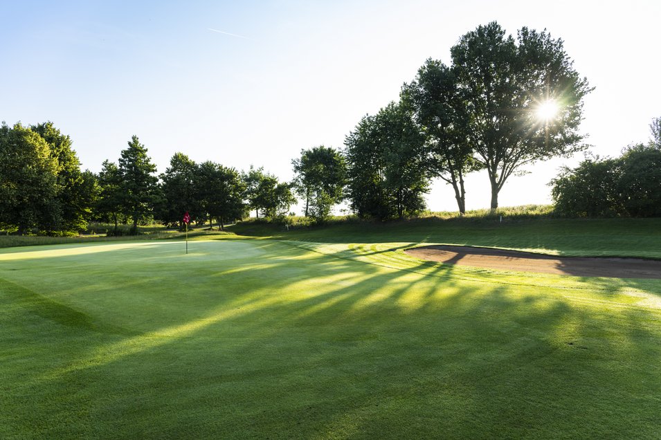 Sonne verschwindet hinter Bäumen am Rande des Golfgrüns
