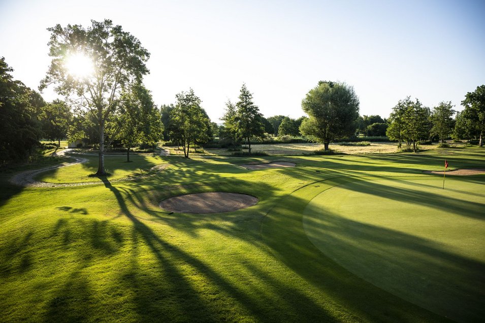 Baum mit Sonne im Hintergrund
